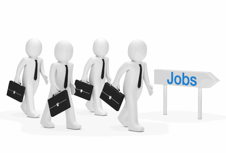 job seeker